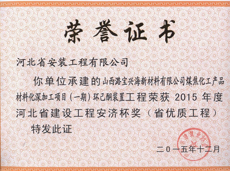 Shanxi Lubao - 2015 provincial excellent