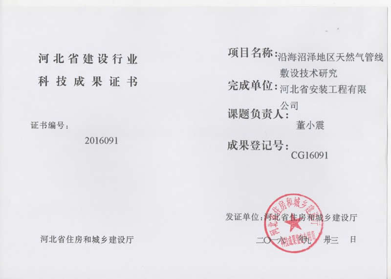 Cg16091 natural gas pipeline laying technology in coastal swamp area